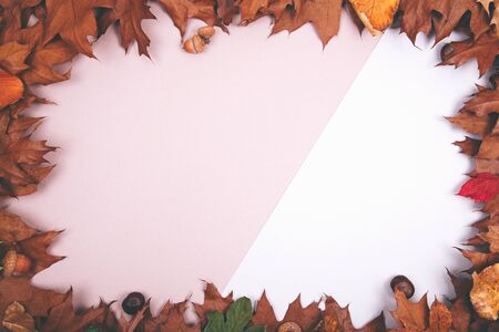 Autumn backdrop - frame composed of brown autumn dry leaves over beige color. Thanksgiving compositionの写真素材