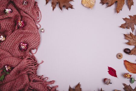Autumn backdrop - frame composed of brown autumn dry leaves, dry roses with plaid over beige colorの写真素材