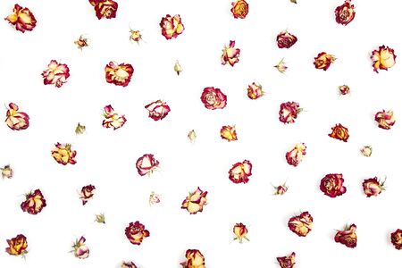 Decorative pattern with pink and yellow bright dry roses, buds on white background. Flat lay, top view, view from above. Isolatedの写真素材