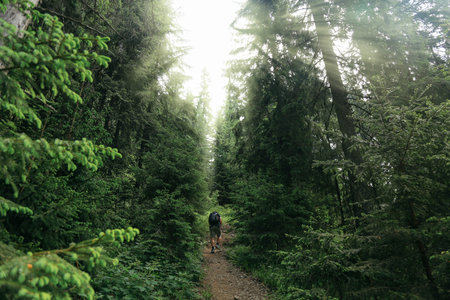 A man with backpacks walking along the road in the forrest