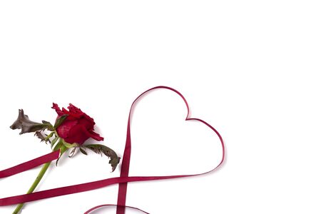 Red rose and heart shape ribbon on white background isolated. Valentines day background. Top view with copy spaceの写真素材