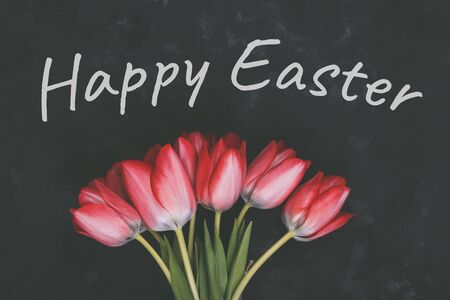 Easter card with pink tulips on black background. Happy easterの写真素材
