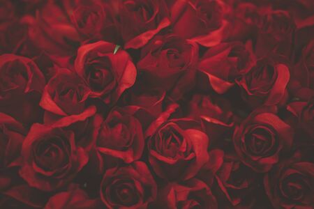 Bouquet of artificial red roses. Flower backgriundの写真素材