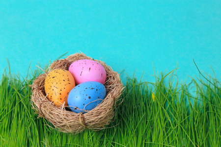 Colorful easter eggs in nest on turquoise background
