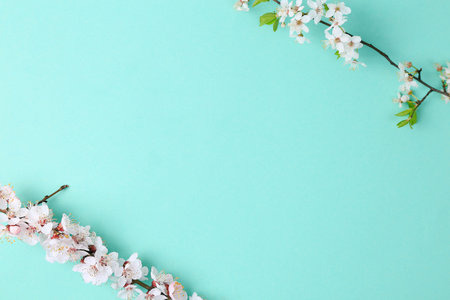Beautiful Turquoise blue background with spring blossom branches, top view, flat lay, frame....