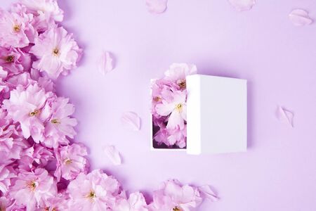 Beautiful violet pink flowers and gift box with sakura liyng on the pink backgroundの写真素材