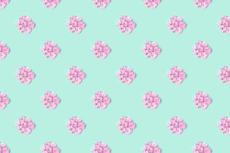 Cute spring sakura blossom pattern. Flower floral pattern with sakura flowers petals and on turquoise pastel background flat layの写真素材