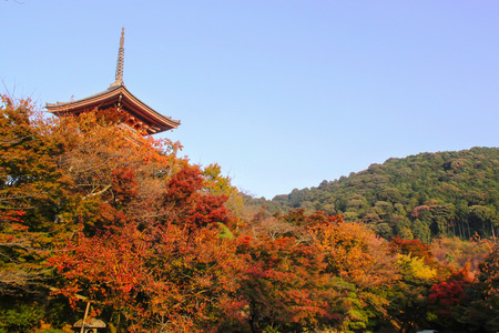 Kiyomizu -dera Temple hidden behind the foliage of treesのeditorial素材
