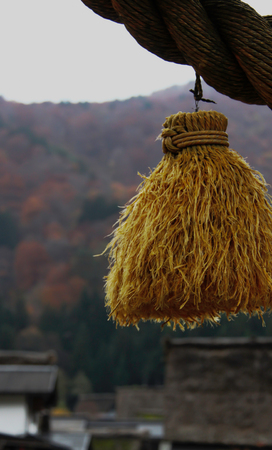 Straw tassel hung from Shimenawa (rice straw rope denoting sanctity) in Shirakawago Village in autumnの写真素材