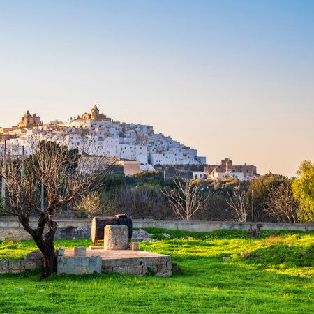 View of Ostuni old town from Provincial road 21の写真素材