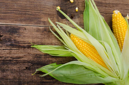 Cobs of ripe raw corn laid on dark wood textured table. Fresh uncooked maize cob. Grains of ripe corn. Background, top view, close up, flat lay, empty space.の写真素材