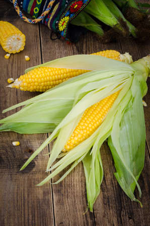 Cobs of ripe raw corn laid on dark wood textured table. Fresh uncooked maize cob. Grains of ripe corn. Background, top view, close up, flat lay, copy space.の写真素材
