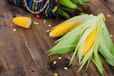Cobs of ripe raw corn laid on dark wood textured table with empty place for notes. Fresh uncooked maize cob. Grains of ripe corn. Background, top view, close up, flat lay.の写真素材