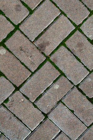 Texture of rectangular granite paving stone with green moss. Pattern of pavement.の写真素材