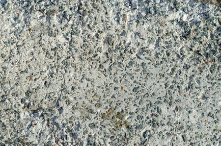 Light grey cement with small stones texture at sunlight.の写真素材