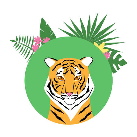 Tiger on a round background with tropical leavesのイラスト素材