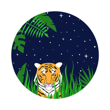 The tiger hid in the grass at nightのイラスト素材