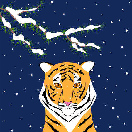 Tiger at night in snowfall. Symbol of the Chinese lunar new year.のイラスト素材
