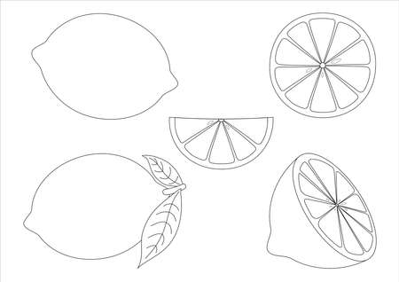 lemon fruit set vector illustrationのイラスト素材