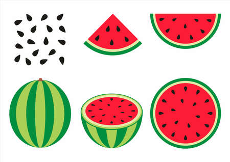 Watermelon slice and whole watermelon flat illustration, watermelon splitの写真素材