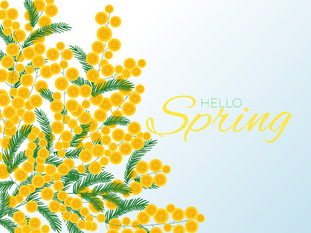 Romantic background with mimosa bouquet and spring greeting letteringのイラスト素材