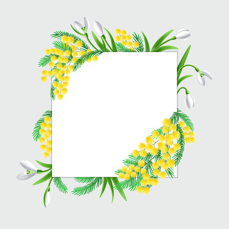 Vector card for spring season with white frame. Mimosa and snowdrop flowers.のイラスト素材