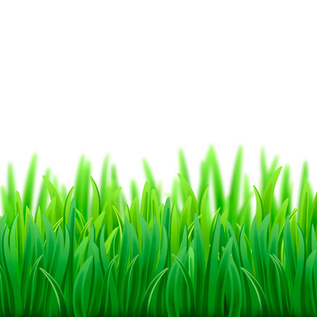 Super realistic, detailed fresh green vector grass. Isolated plant stems for front plan nature illustrationのイラスト素材