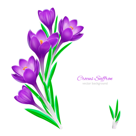 Floral spring background for design on white backgroundのイラスト素材