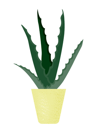 House plant aloe vers in flower pot isolationのイラスト素材