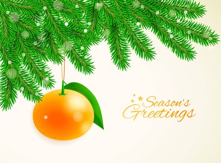 Christmas and New Year vector background with fir branches and hanging mandarineのイラスト素材
