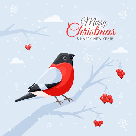 Cute little red bird, snowflakes, rowan twig. Bullfinch, christmas tree bunch with snowflakes.のイラスト素材