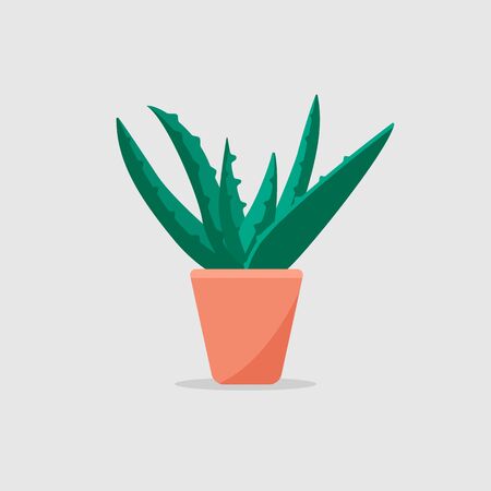 A vector graphic illustration of a aloe vera plant in potのイラスト素材