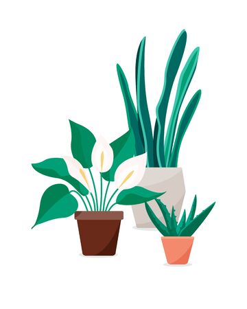 Vector flat tropical home flowers, beautiful plants in clay flowerpots isolated on white backgroundのイラスト素材