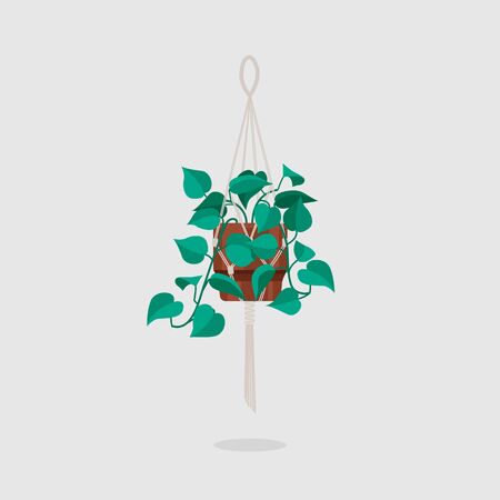 Vector flat Indoor plant pot illustration. Colorful Indoor plant in pot for your design.のイラスト素材