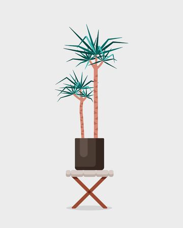 Vector flat illustration of home plant Dracaena on wood stand. Colorful Indoor plant in brown pot for your design.のイラスト素材