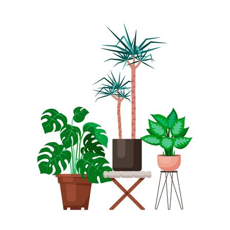 Vector flat design interior plants illustrations setのイラスト素材