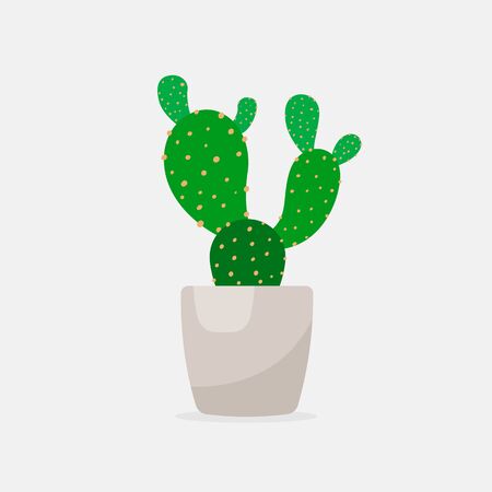 Vector cactus in flower clay pot. Flat colorful design illustrationのイラスト素材
