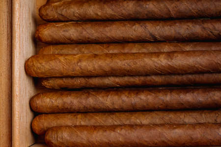 Cigars in humidor on the wooden backgroundの写真素材