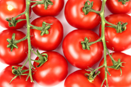 Red tomatoes on white backgroundの写真素材