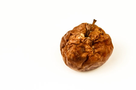 Old rotten apple with large DOF on white backgroundの写真素材