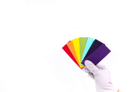 Hand holds a rainbow color palette of paints on a white background. Top view, flat lay. Banner.の写真素材