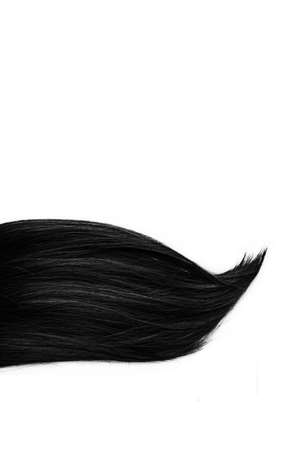 Black hair isolated on white background. Brunette natural hair extension on white backgroundの写真素材
