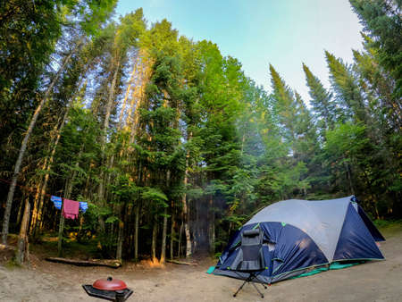 Camping Tent at Campground during Daytime in Woods.の写真素材