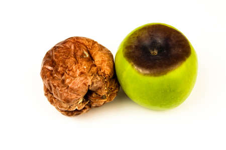 Old rotten apple with large DOF on white background.の写真素材