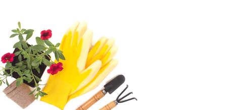 Garden shovels, gloves, recyclable plant pots with red flower on a white background . Gardening layout. Spring planting season. Work in the ground. Copy space.の写真素材
