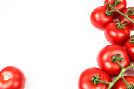 Red tomatoes on white backgroundの写真素材