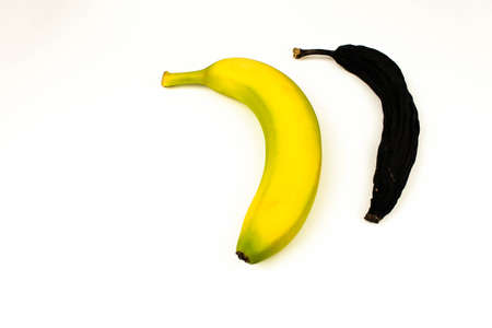 Ripened and fresh banana on white background. Space for text. Yellow banana and black banana.の写真素材