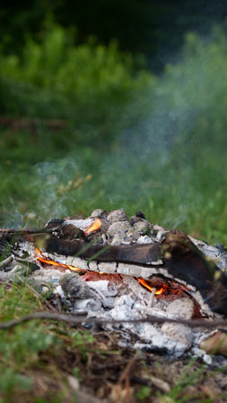 Red flames of teepee campfire on the ground at campsite in wild at overcast, closeup bonfire with firewood on backdrop, summer relax camping mood, low angle.の写真素材