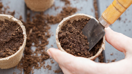Close up of hand planting a seed in eco friendly biodegradable peat pots, top view, selective focus. Spring natural gardening, eco, plant care, organic product.の写真素材