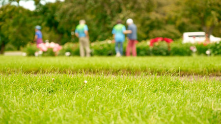 Beautiful lawn with green grass on sunny day with people on background. Selective focus. Bokeh effect.の写真素材